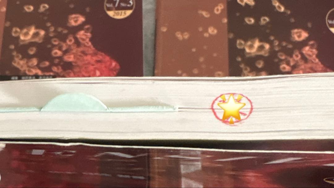【まとめ売り】INTENSIVIST インテンシヴィスト　医学書、参考書