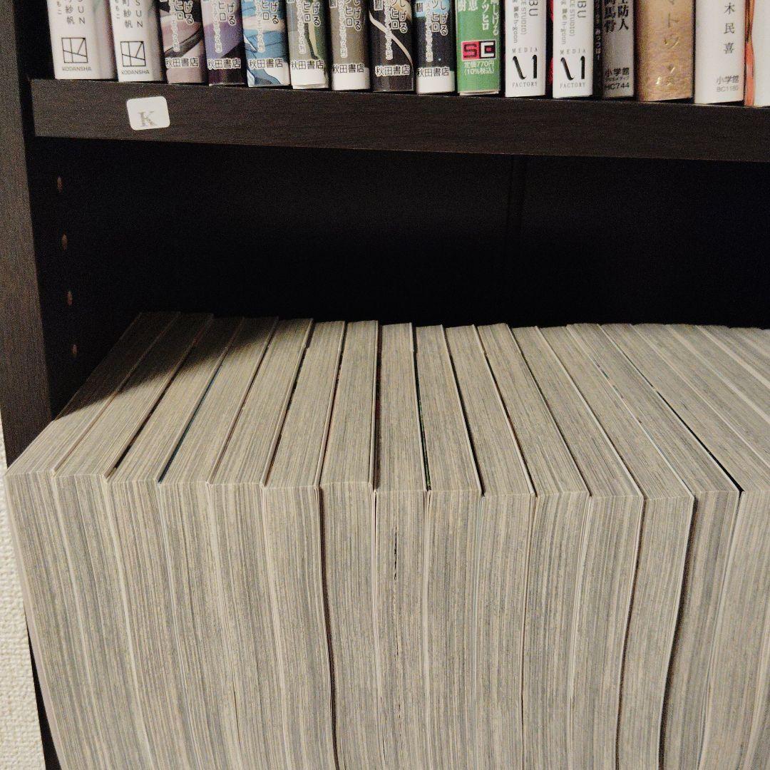 リエゾン 全20巻セット