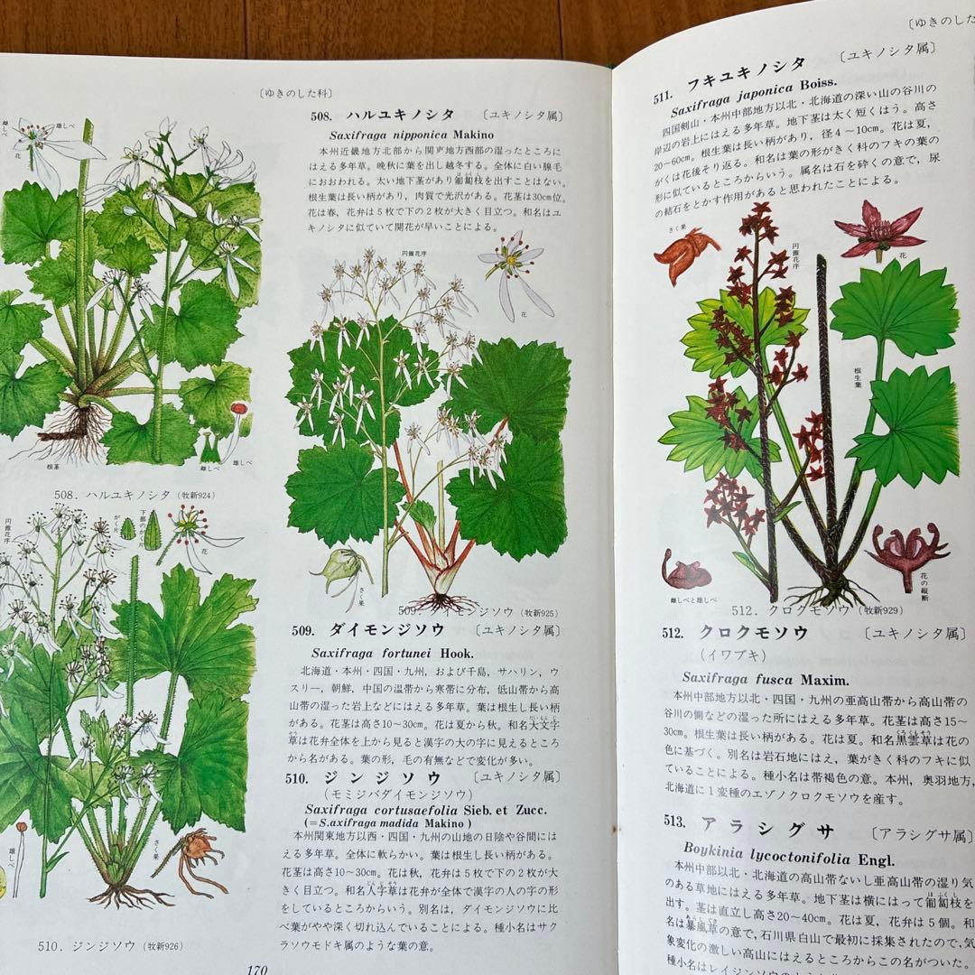 訳あり　原色牧野植物大図鑑