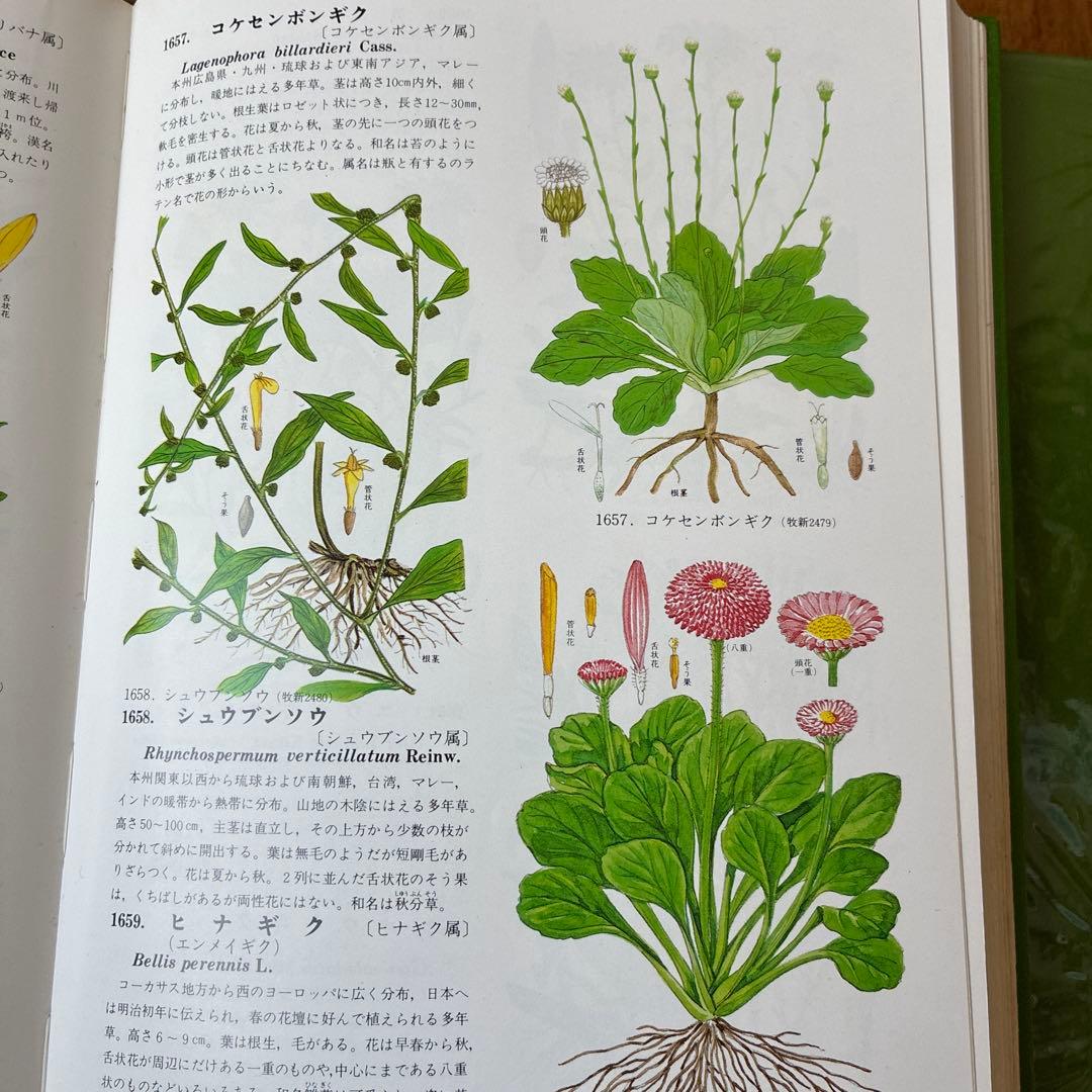 訳あり　原色牧野植物大図鑑