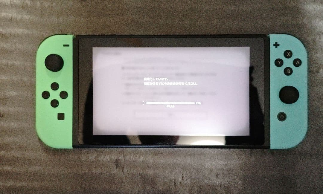 Nintendo Switch どうぶつの森デザイン 本体