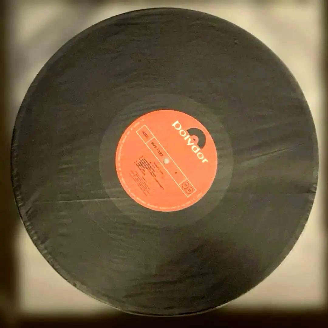 【国内盤】Sham69 That's Life レコード LP