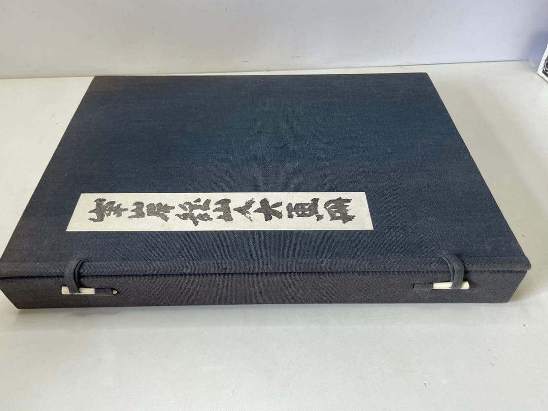 峯岸魏山人大画冊　限定150部 墨絵 画集