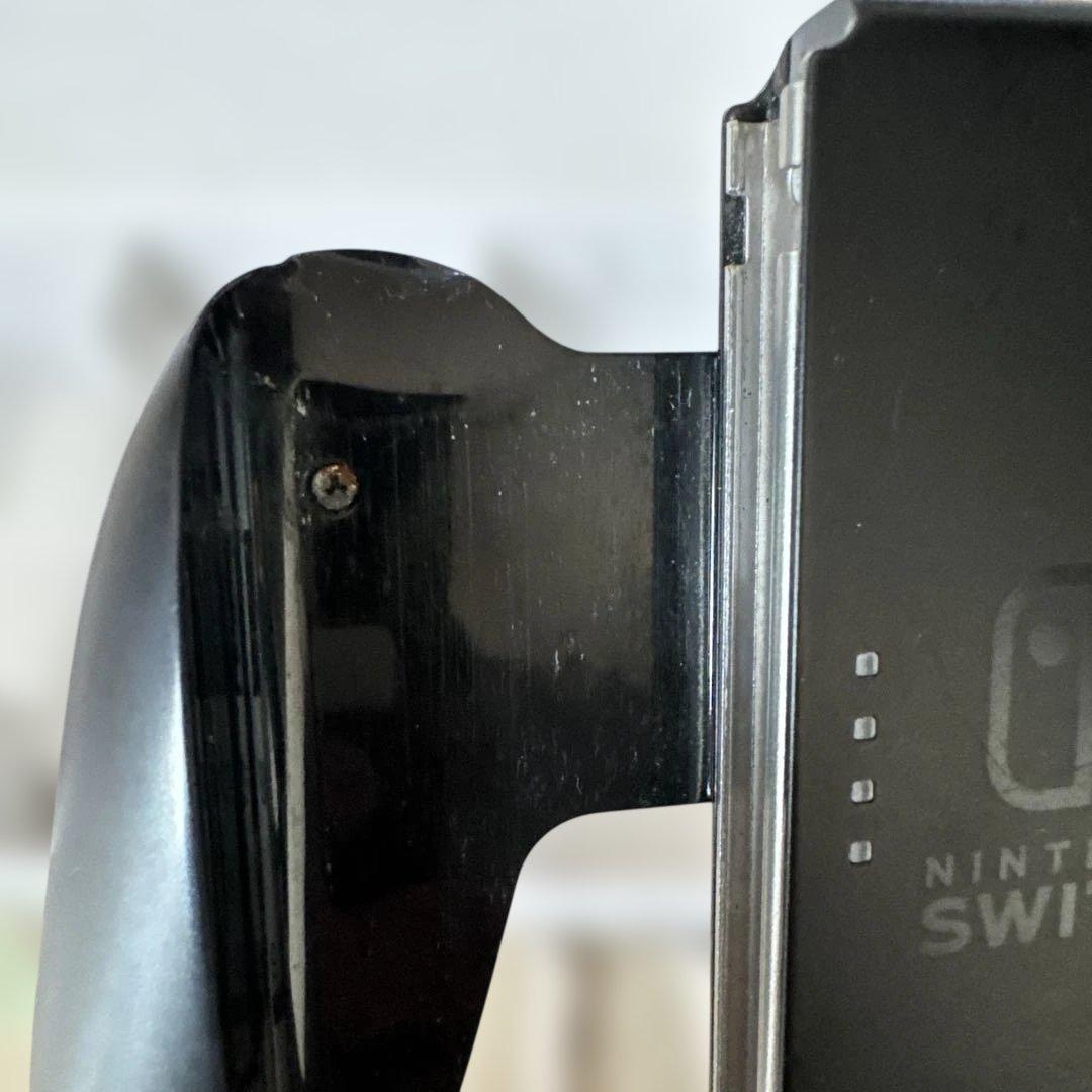 Nintendo Switch あつまれ どうぶつの森セット　値下げしてます！