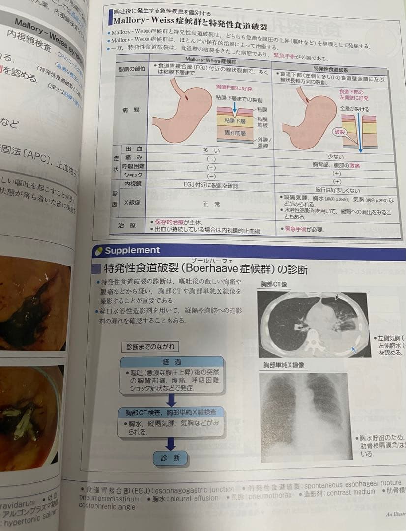 病気がみえる 全12巻セット