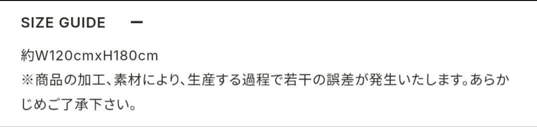 【最終値下げ】KingGnu CEN+RAL 2026 ブランケット