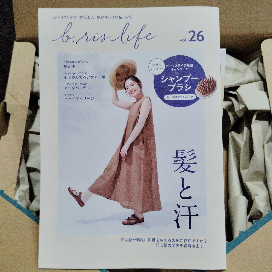 b.ris エアリー カラーリングフォーム ライトブラウン 80g