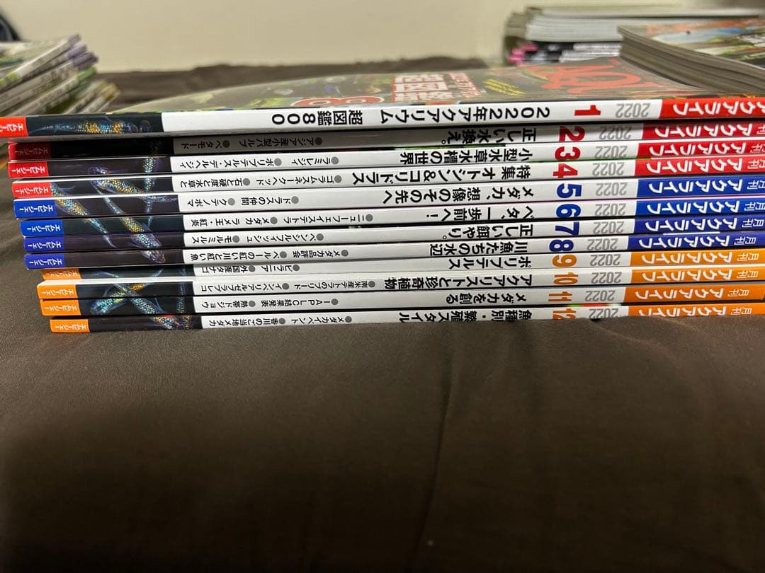 月刊アクアライフ　2021.1月〜2023.12月