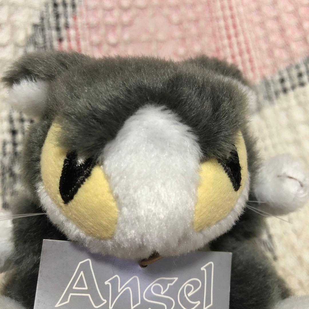 わちふぃーるど　Ansel litan 天使＆セキグチ　Marcy マスコット