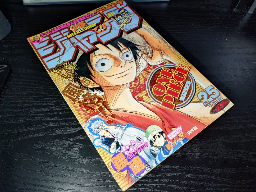 【週刊少年ジャンプ2004年25号】ワンピース　ルフィVS青キジ