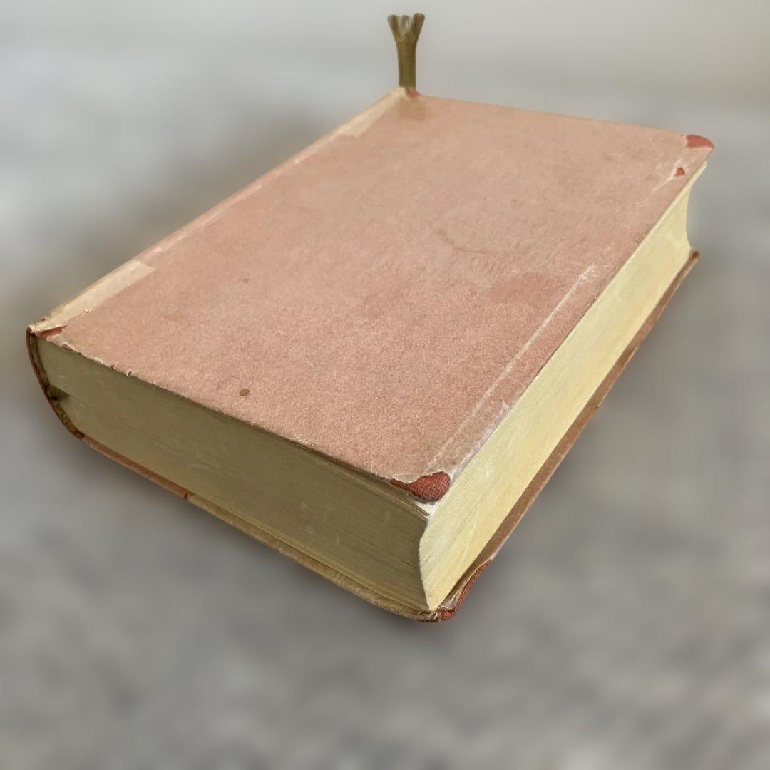 Novum Testamentum ギリシャ語・ラテン語 新約聖書　洋書