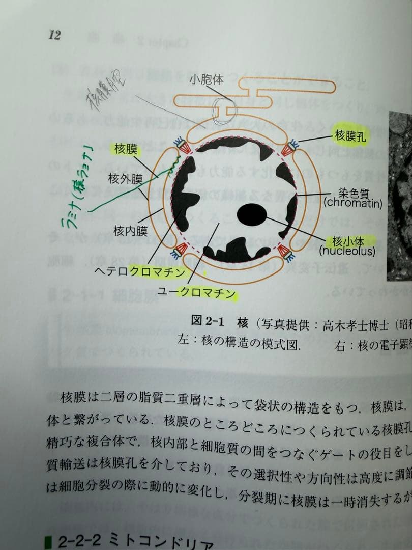生化学
