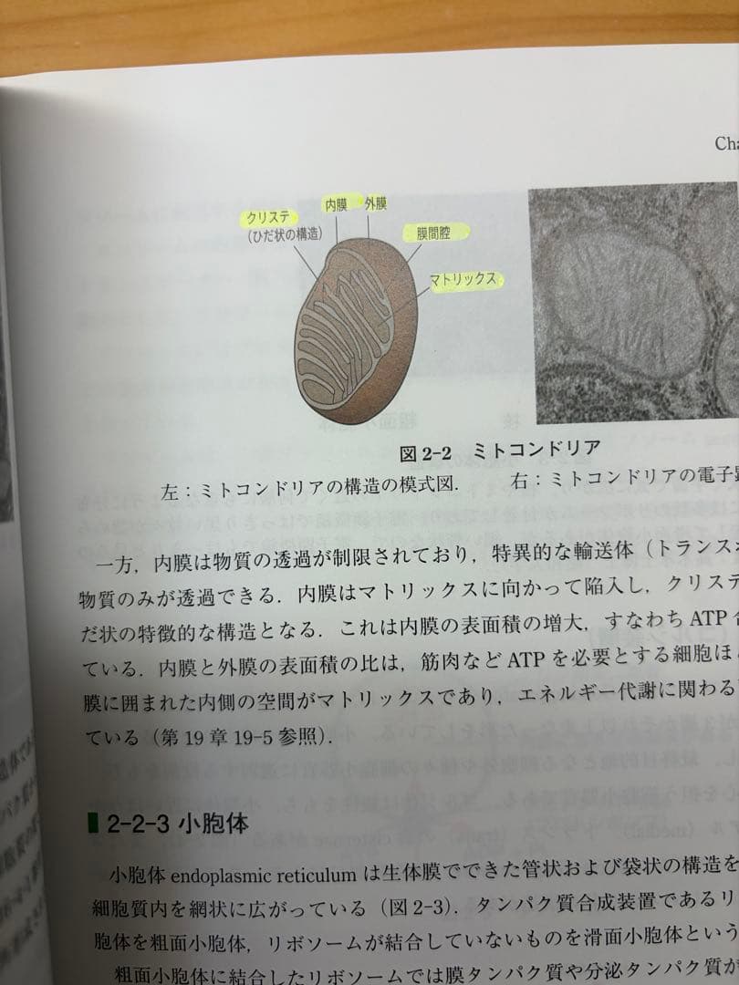 生化学