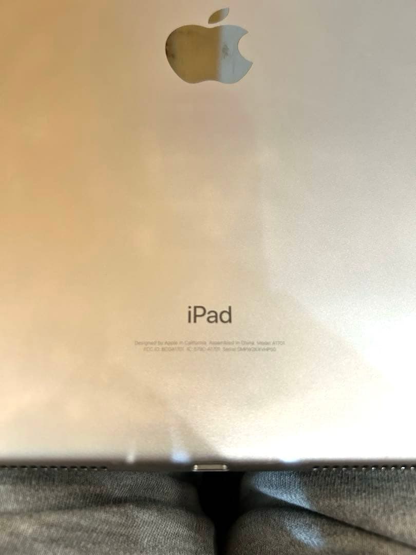 iPad Pro 10.5インチ 256GB シルバー A1701 Wi-Fi