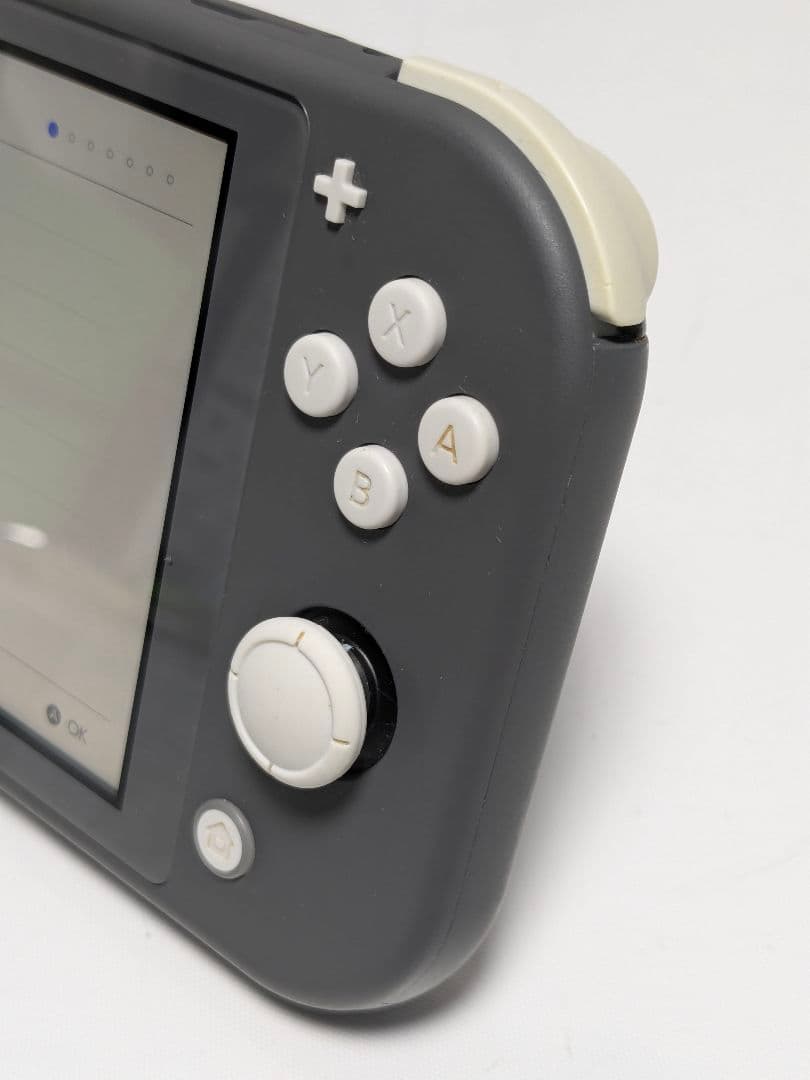 動作品 任天堂 スイッチライト switchlight hdh-001 本体のみ