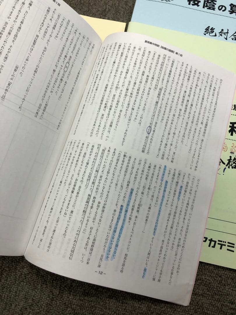 早稲田アカデミー　夏期集中特訓　桜蔭の国算理社　2022年度
