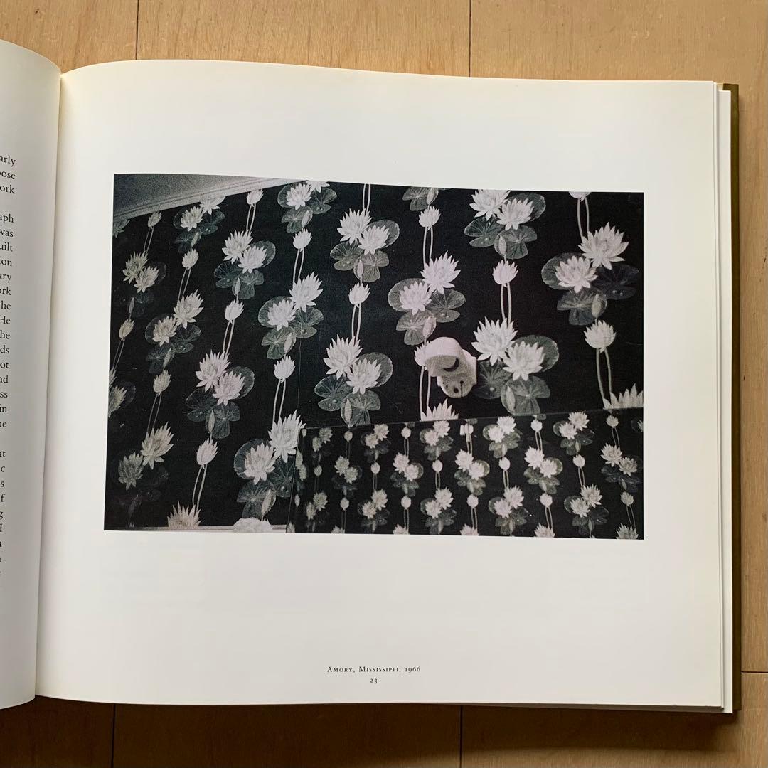William Eggleston Ancient And Modern 美品