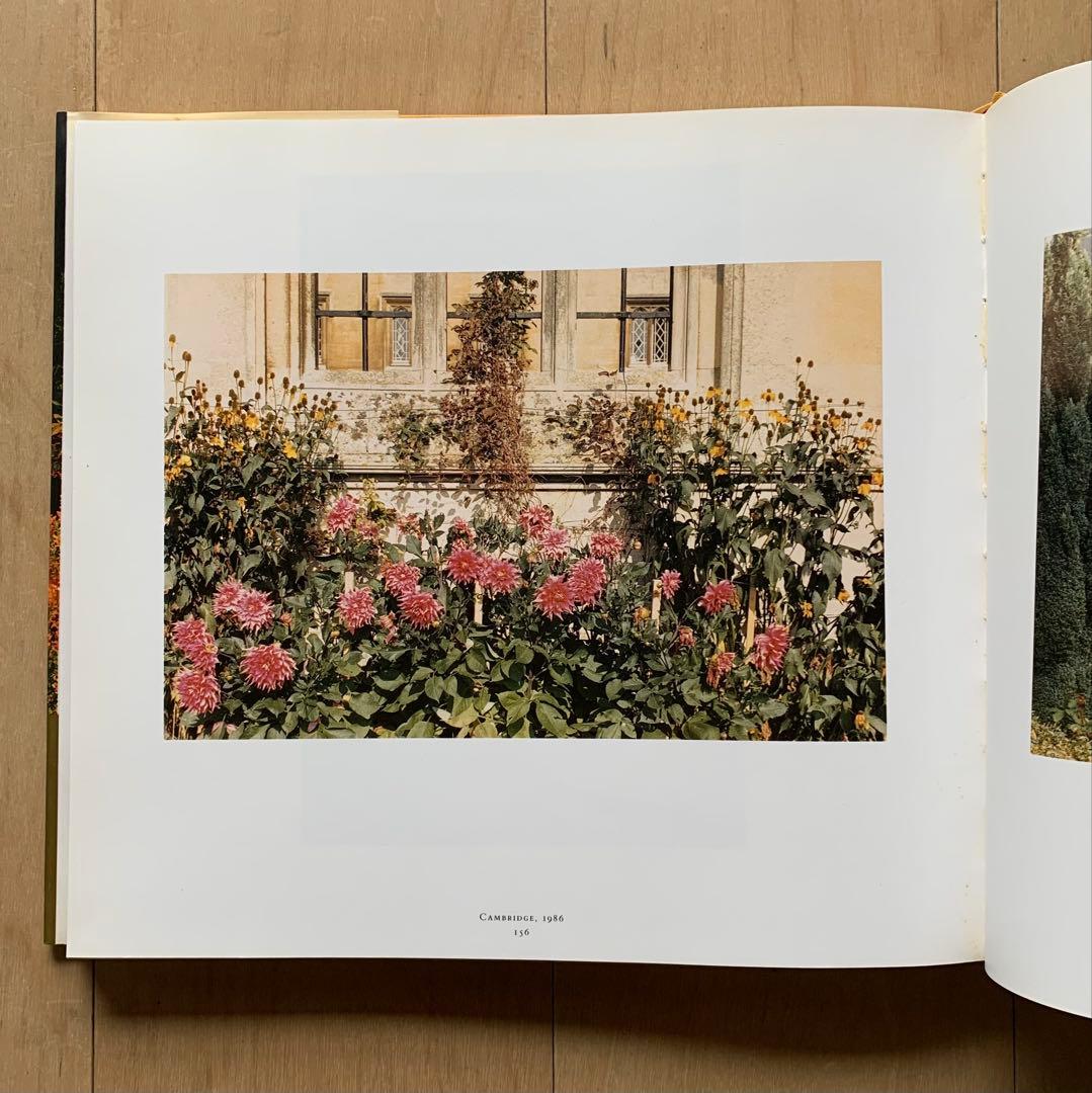 William Eggleston Ancient And Modern 美品
