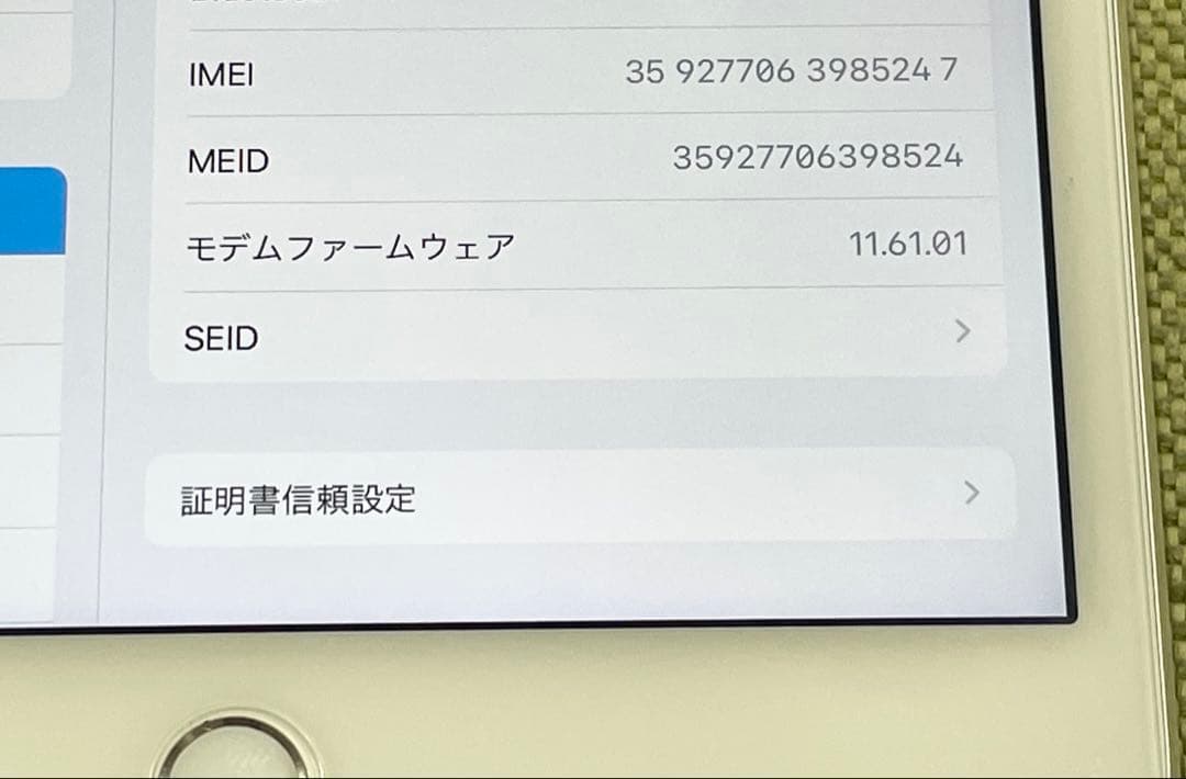 iPad本体 iPad mini 4 Wi-Fi+Cellular 16GB