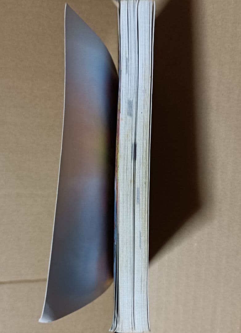 【マリオのピクロス】［マリオ・ジョーンズの冒険］＆［ピクロス100問］掲載書籍