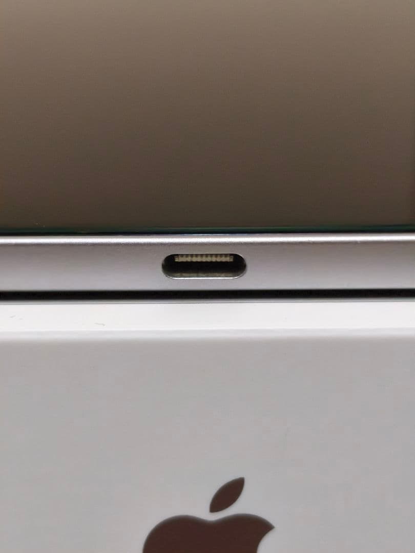 【ジャンク・美品】iPad Pro 12.9 第4世代 256GB シルバー
