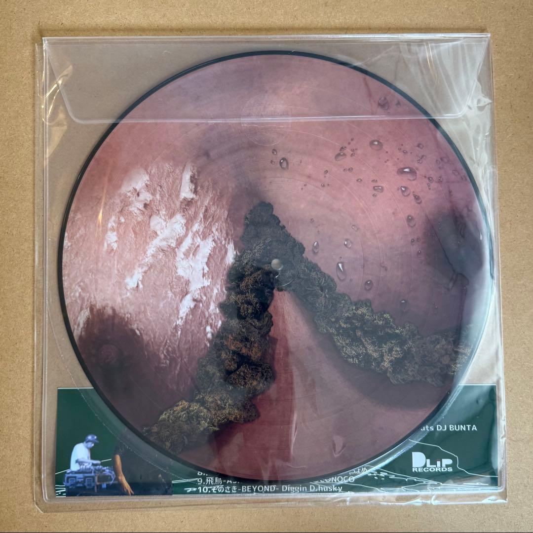 【即購入可能】DUSTY HUSKY - 山越 [LP]