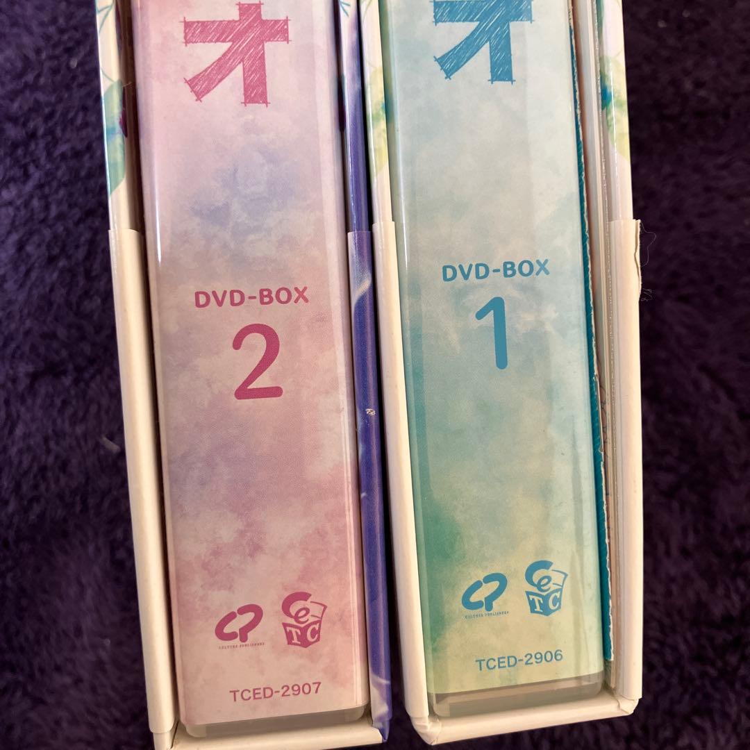 ピノキオ　正規品BOX