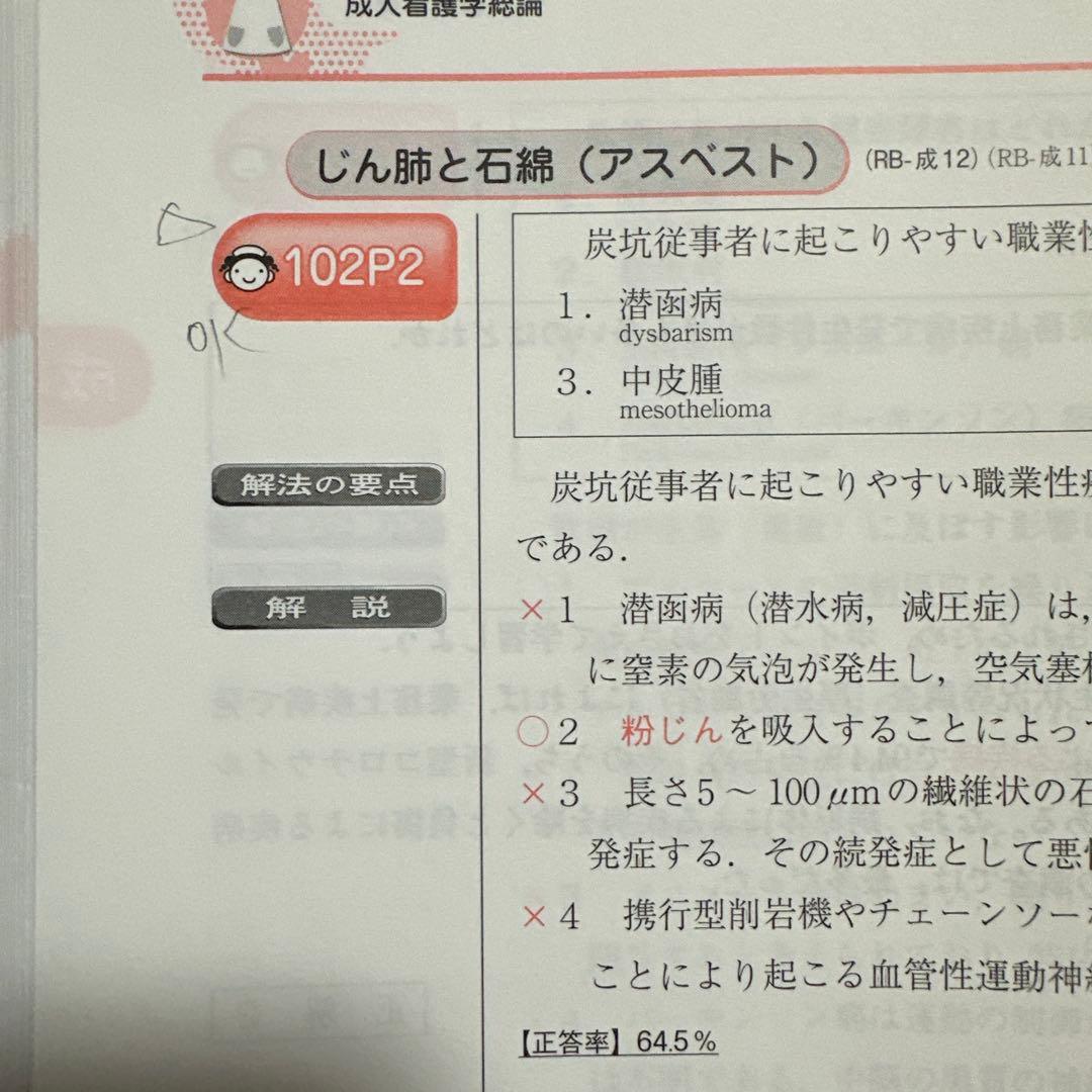 QB看護師　国家試験問題解説　RB看護師レビューブック　必修　2025