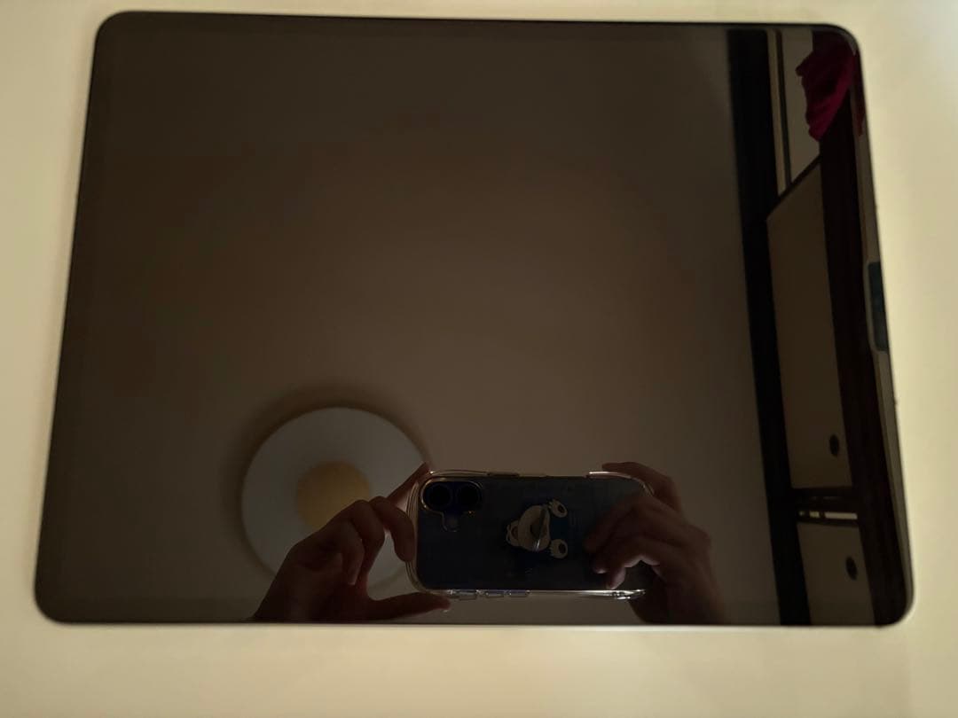 Apple iPad Pro シルバー 本体 this is