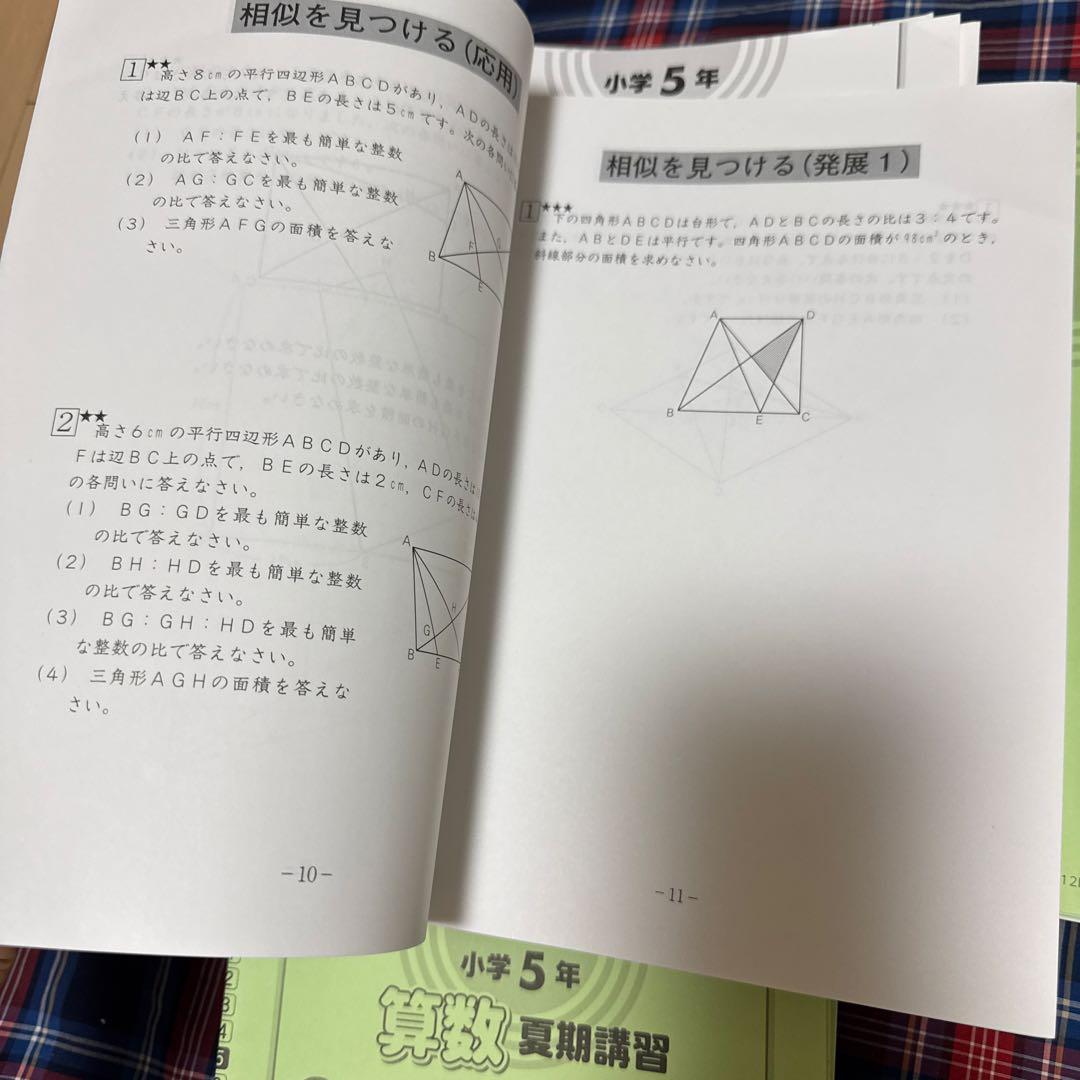 サピックス　SAPIX 5年生 算数 １年分