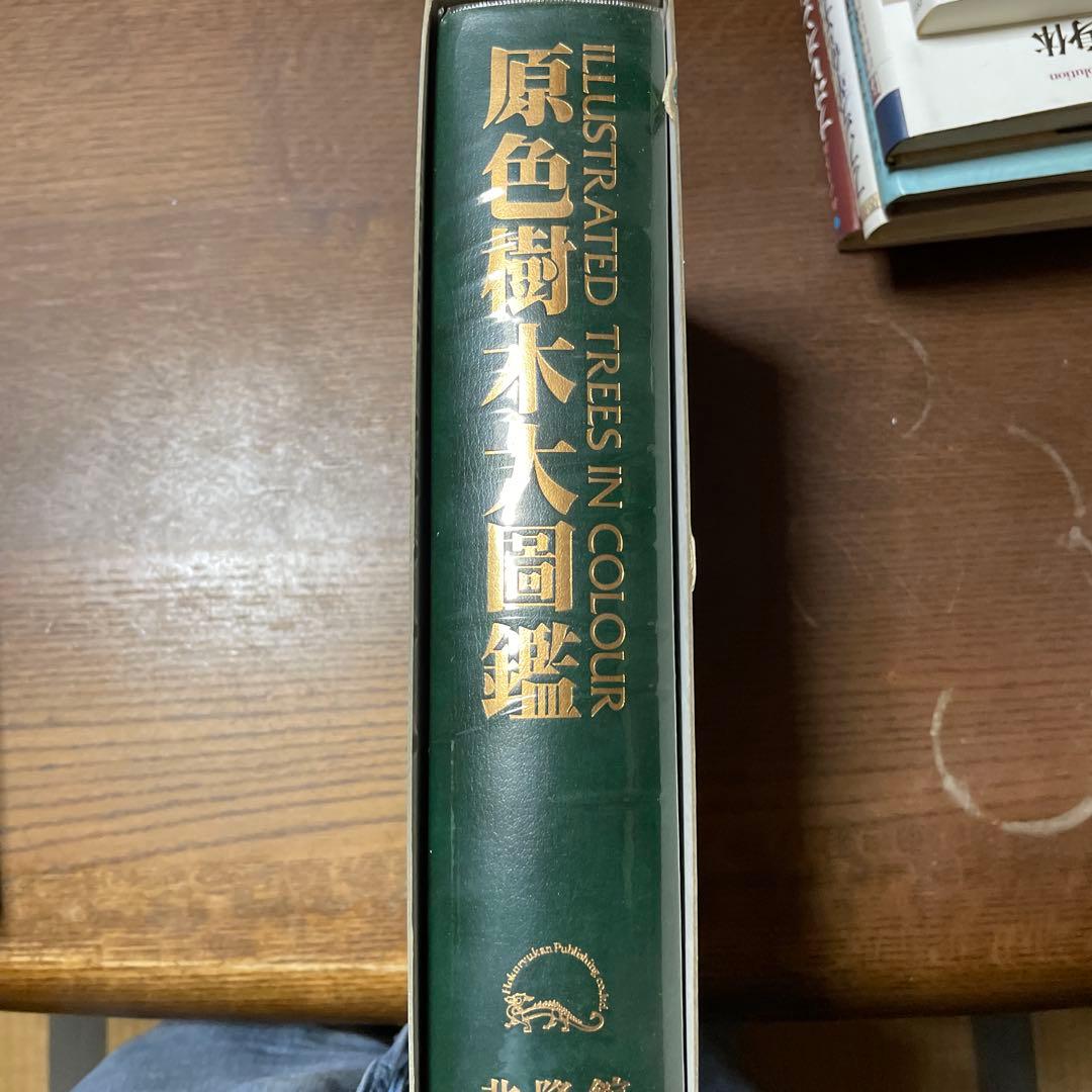 原色樹木大図鑑（ILLUSTRATED TREES IN COLOUR）【美品】