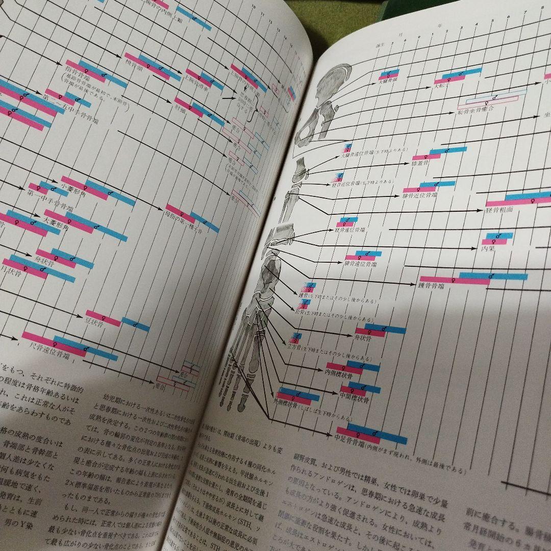 Netter 医学図譜集 全9巻 皮膚病アトラス　セット