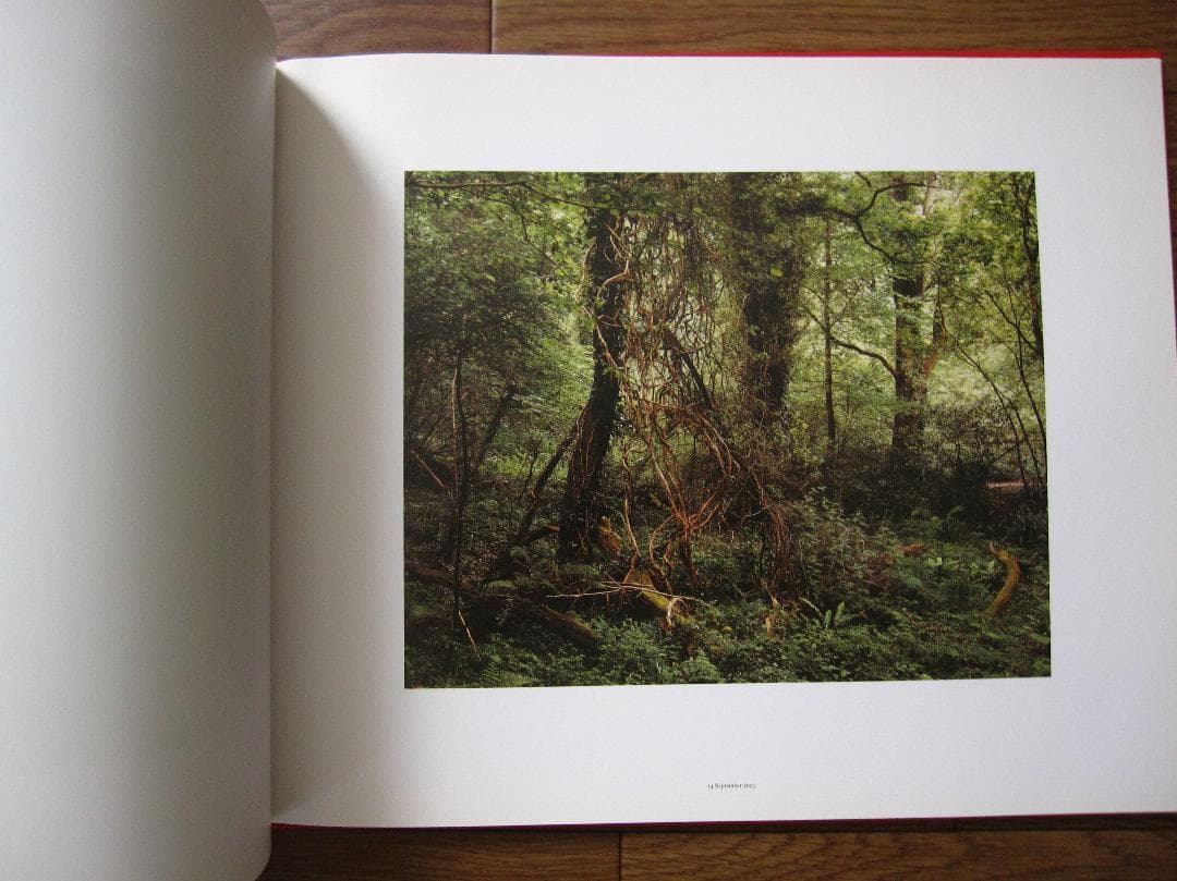 The Painter's Pool　Jem Southam 　ジェム・ソーサム
