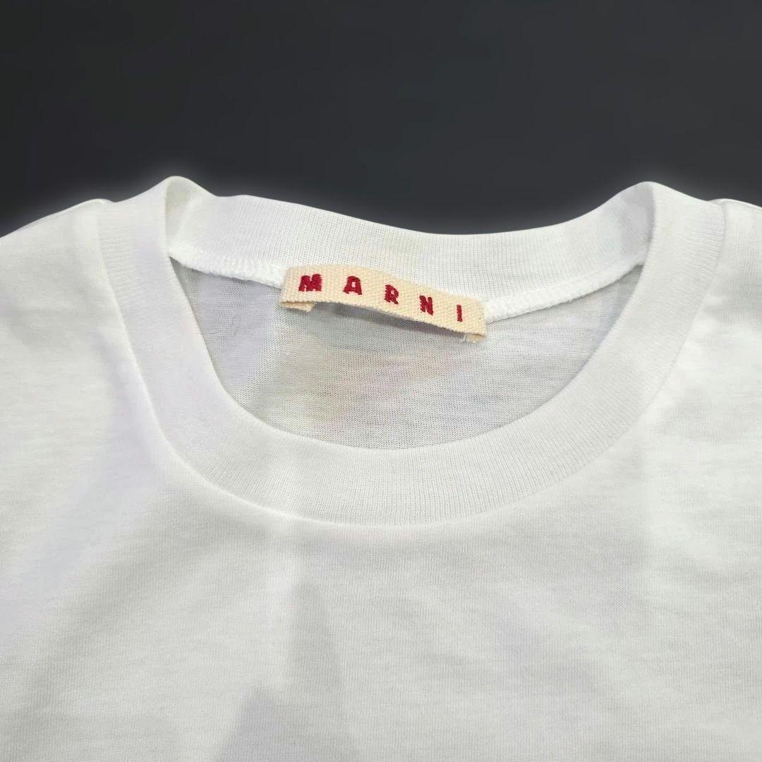 MARNI Tシャツ 半袖 12y