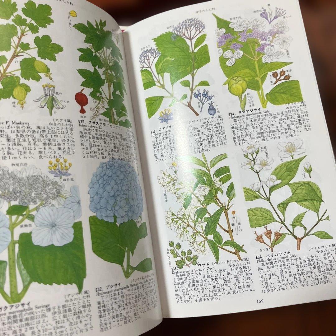 原色牧野日本植物図鑑 1 、2、3コンパクト版