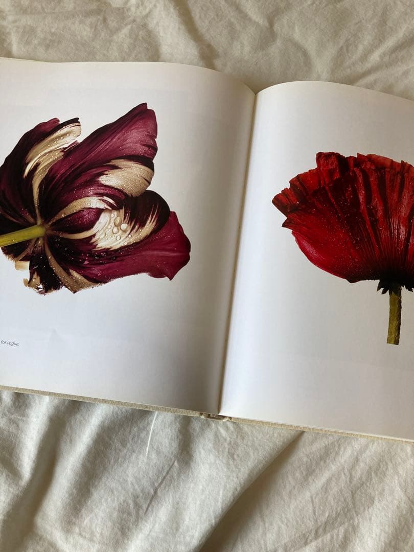 アート・デザイン・音楽 Still Life Irving Penn
