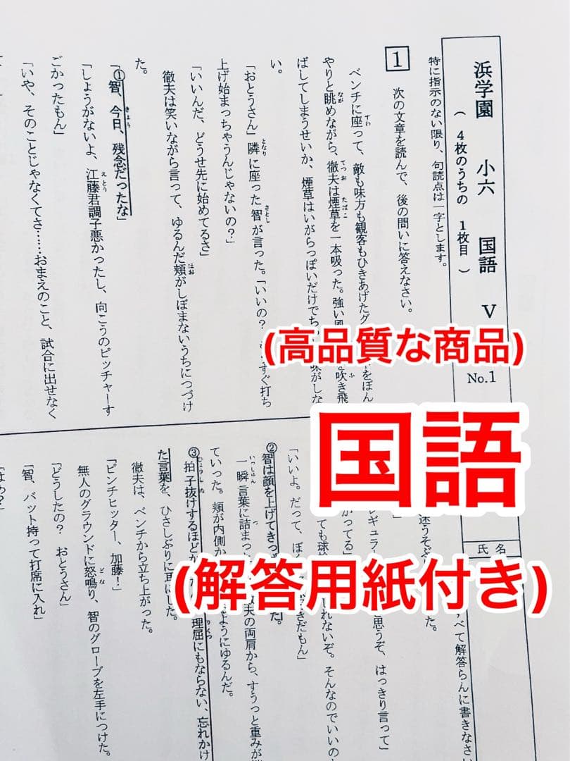 浜学園　小6 復習テスト　Vクラス　算数　国語　理科　1年分　2024年度