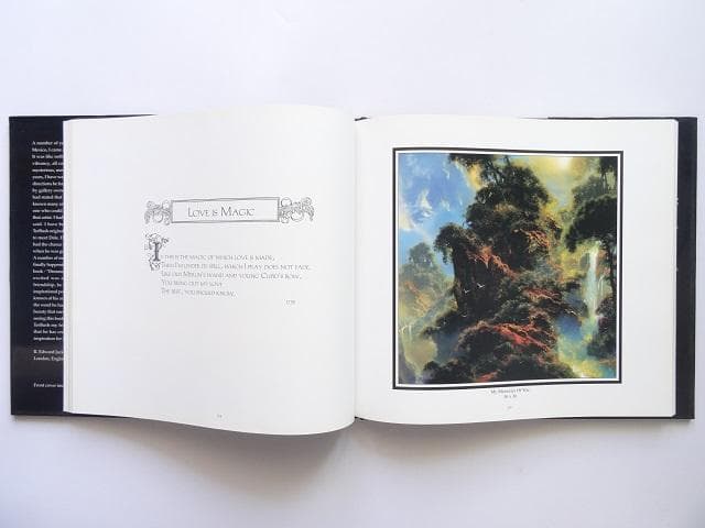 洋書◆デイル・ターブッシュ画集 作品写真集 本 楽園の端にある夢