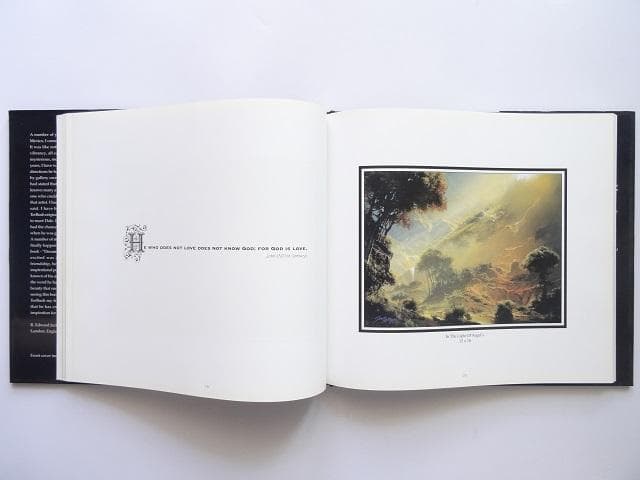 洋書◆デイル・ターブッシュ画集 作品写真集 本 楽園の端にある夢