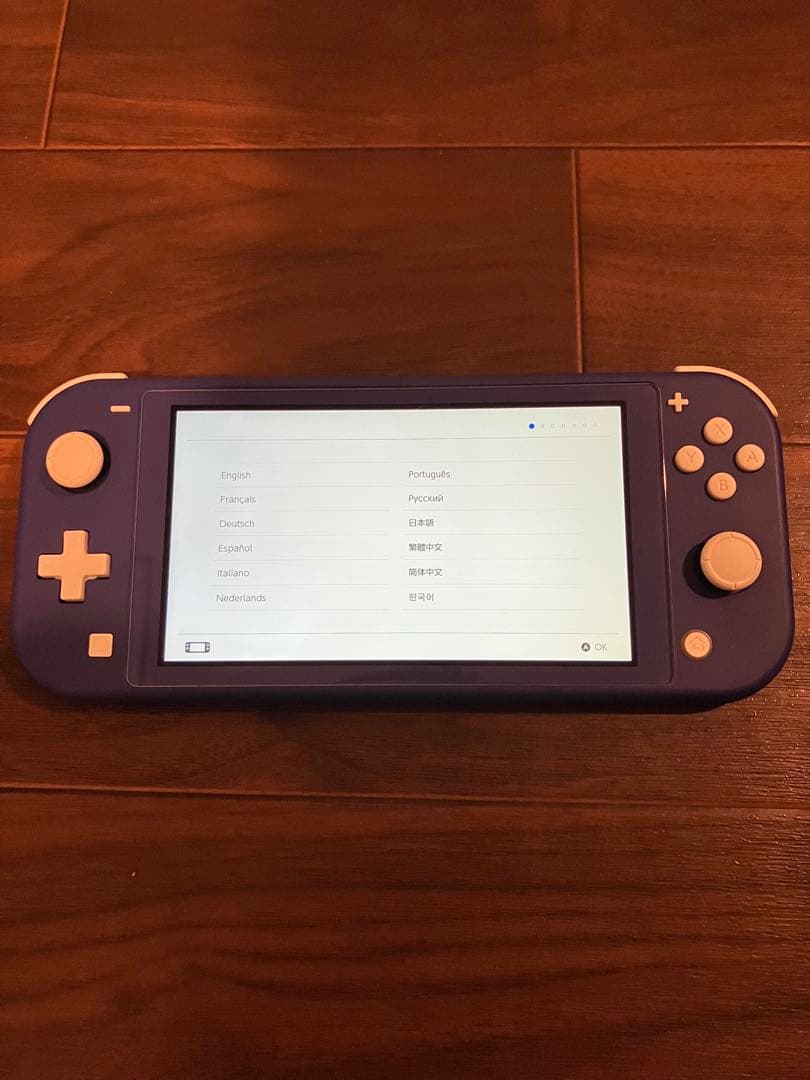 Nintendo Swich Lite (ケース同梱)