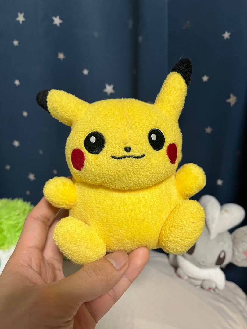 ポケモンぬいぐるみ　ポケドール　5セット
