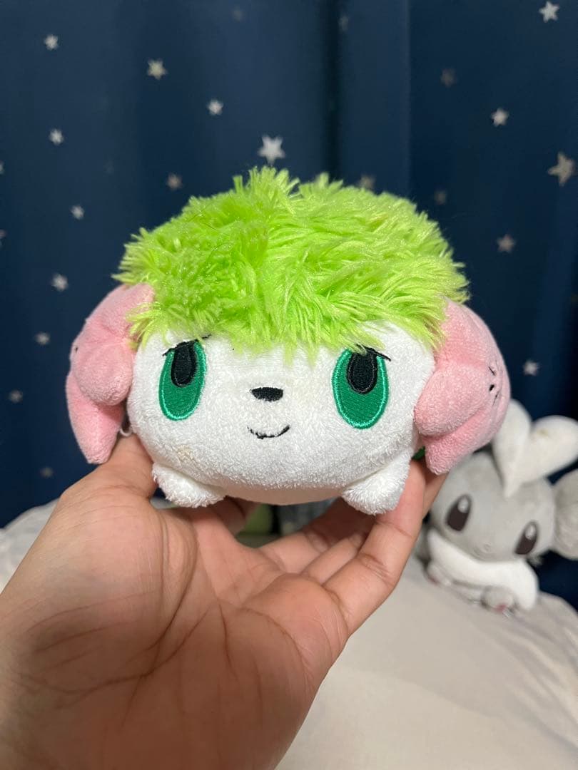 ポケモンぬいぐるみ　ポケドール　5セット