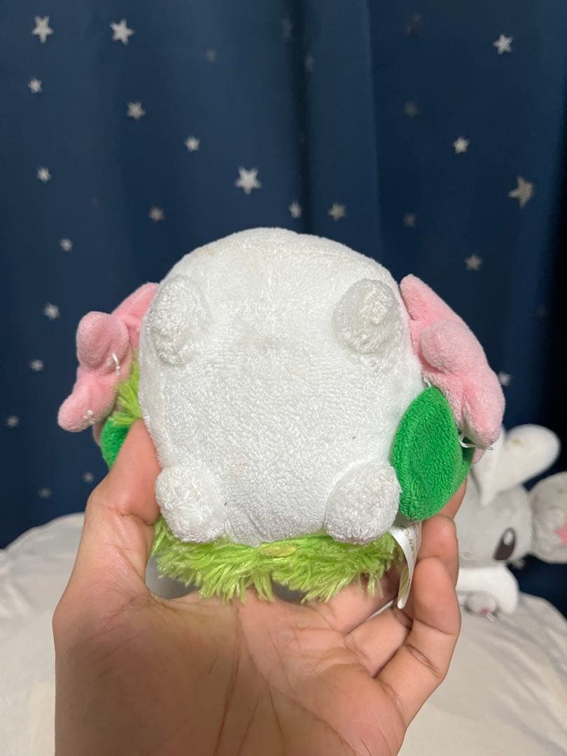ポケモンぬいぐるみ　ポケドール　5セット