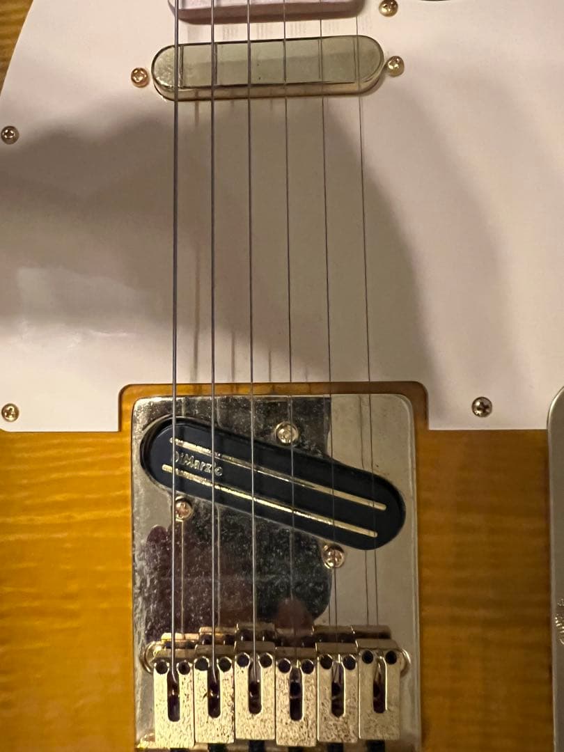 fender Richie Kotzen TELE テレキャスター