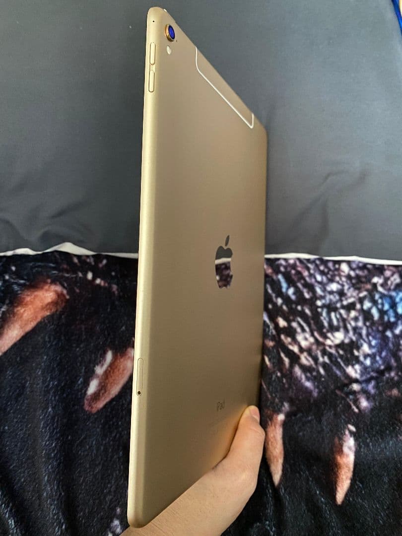 iPad Pro 9.7 インチ