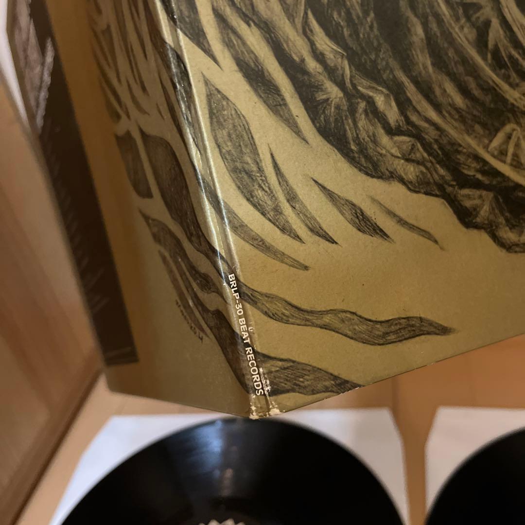 KING JAMMY meets DRY&HEAVY レコード2枚組