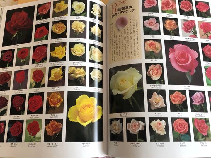 花辞典 フラワーアレンジメント 4冊セット