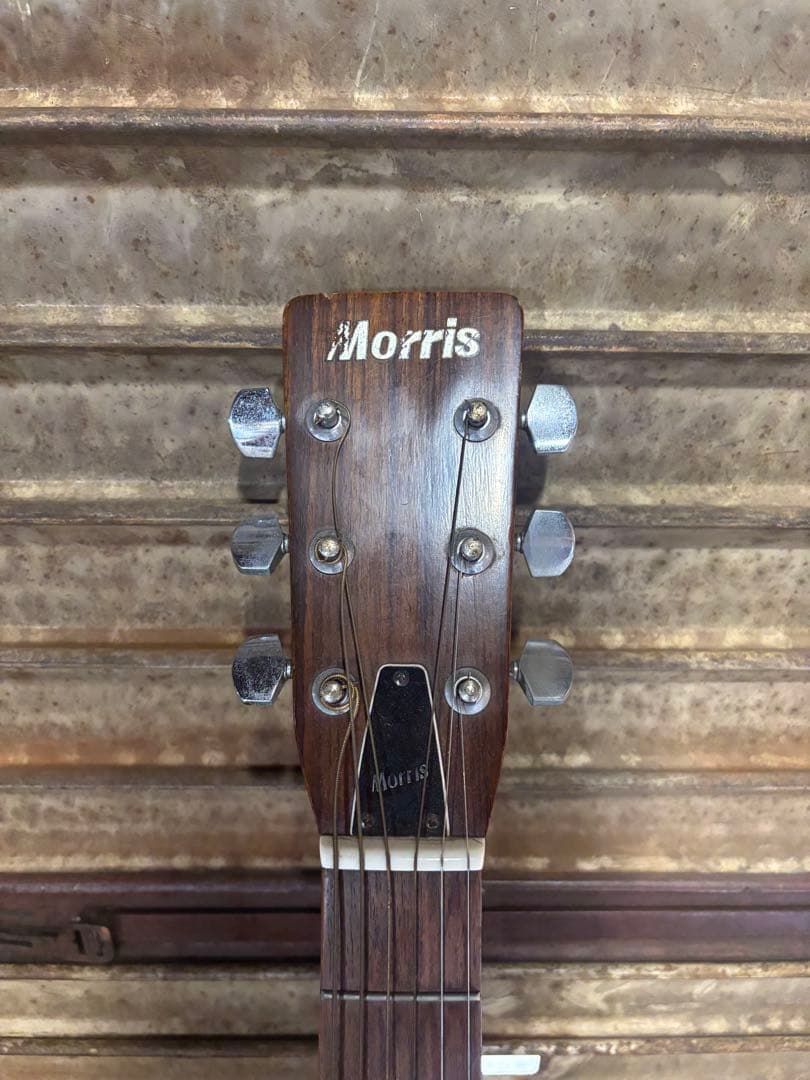 morris アコースティックギター W-18 弦3つセット