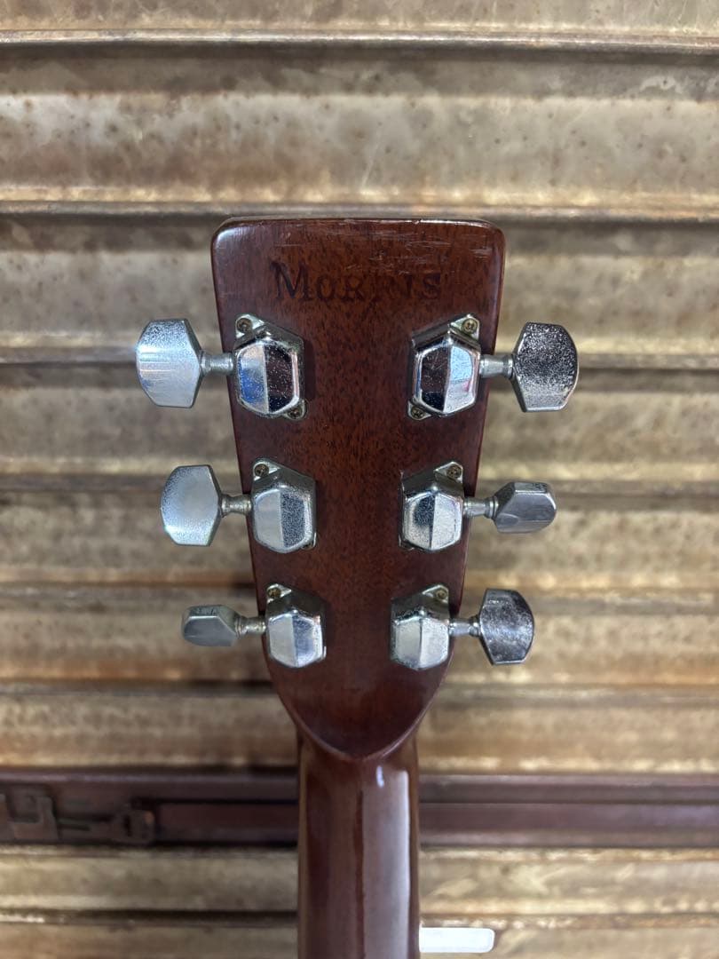 morris アコースティックギター W-18 弦3つセット