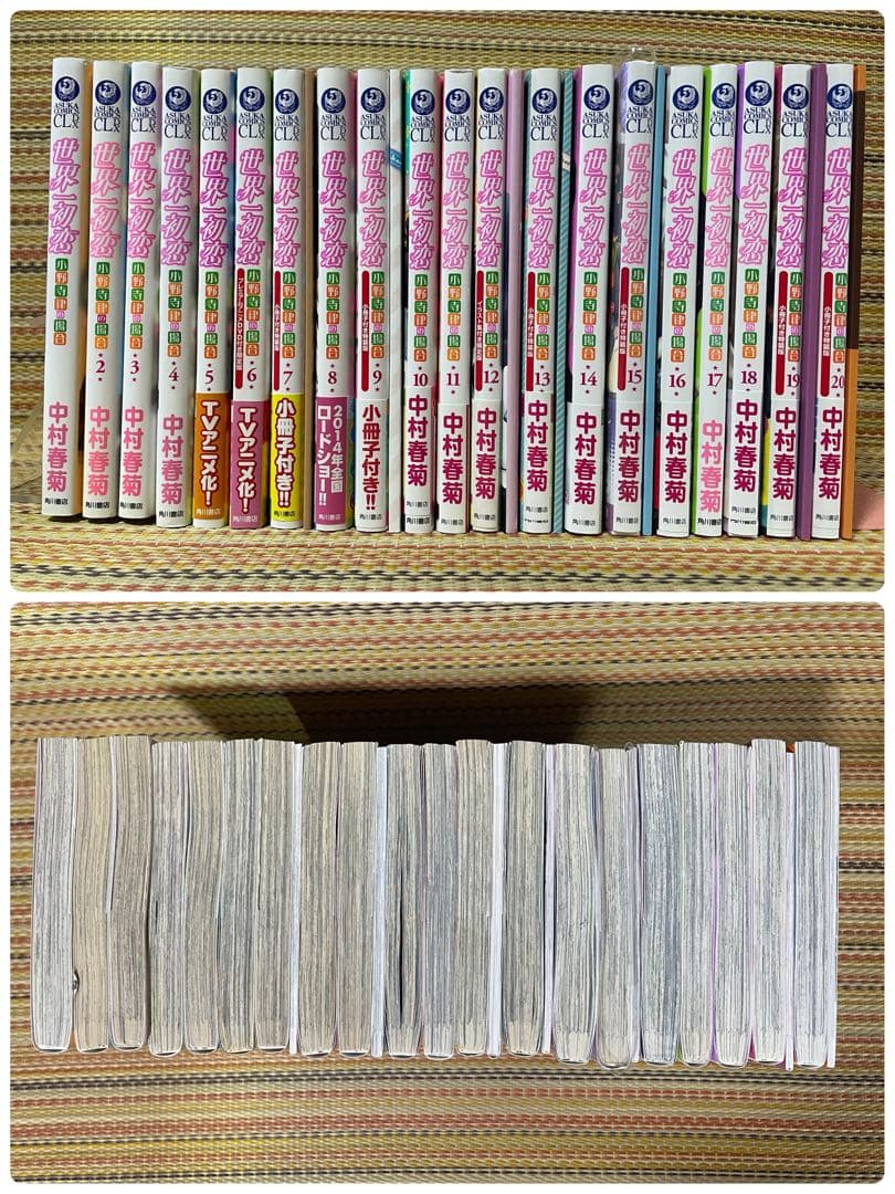 世界一初恋 小野寺律の場合 小説 中村春菊